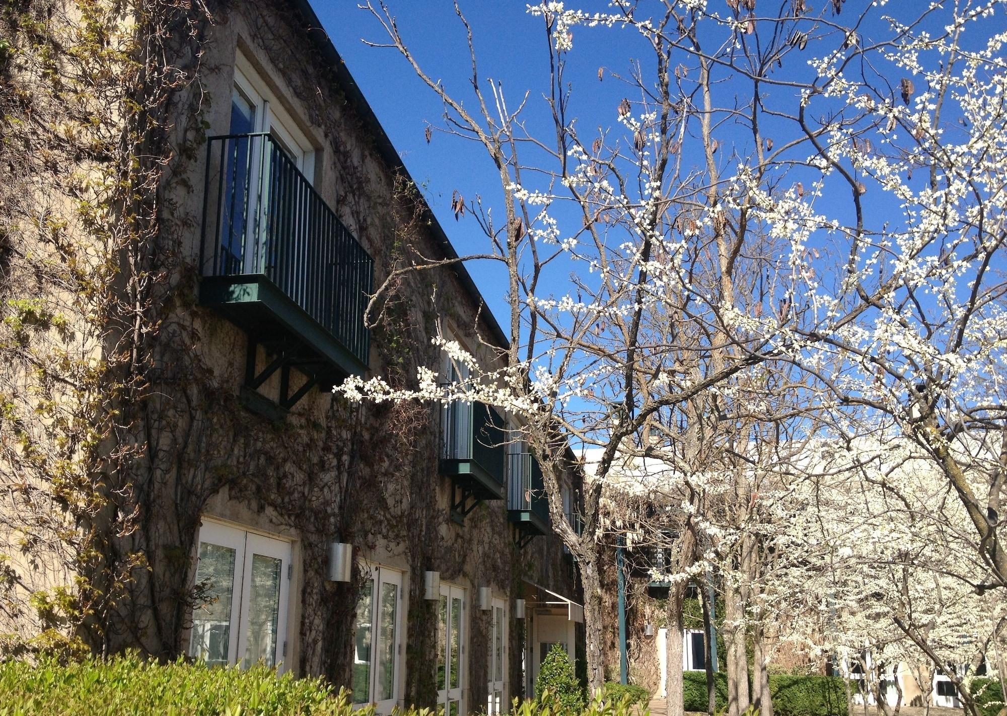 Southbridge Napa Valley St. Helena Kültér fotó